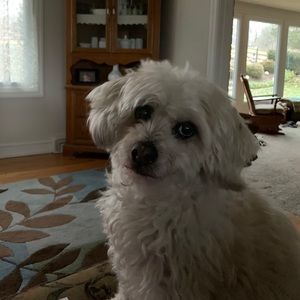 Meet your Posher, Kelly